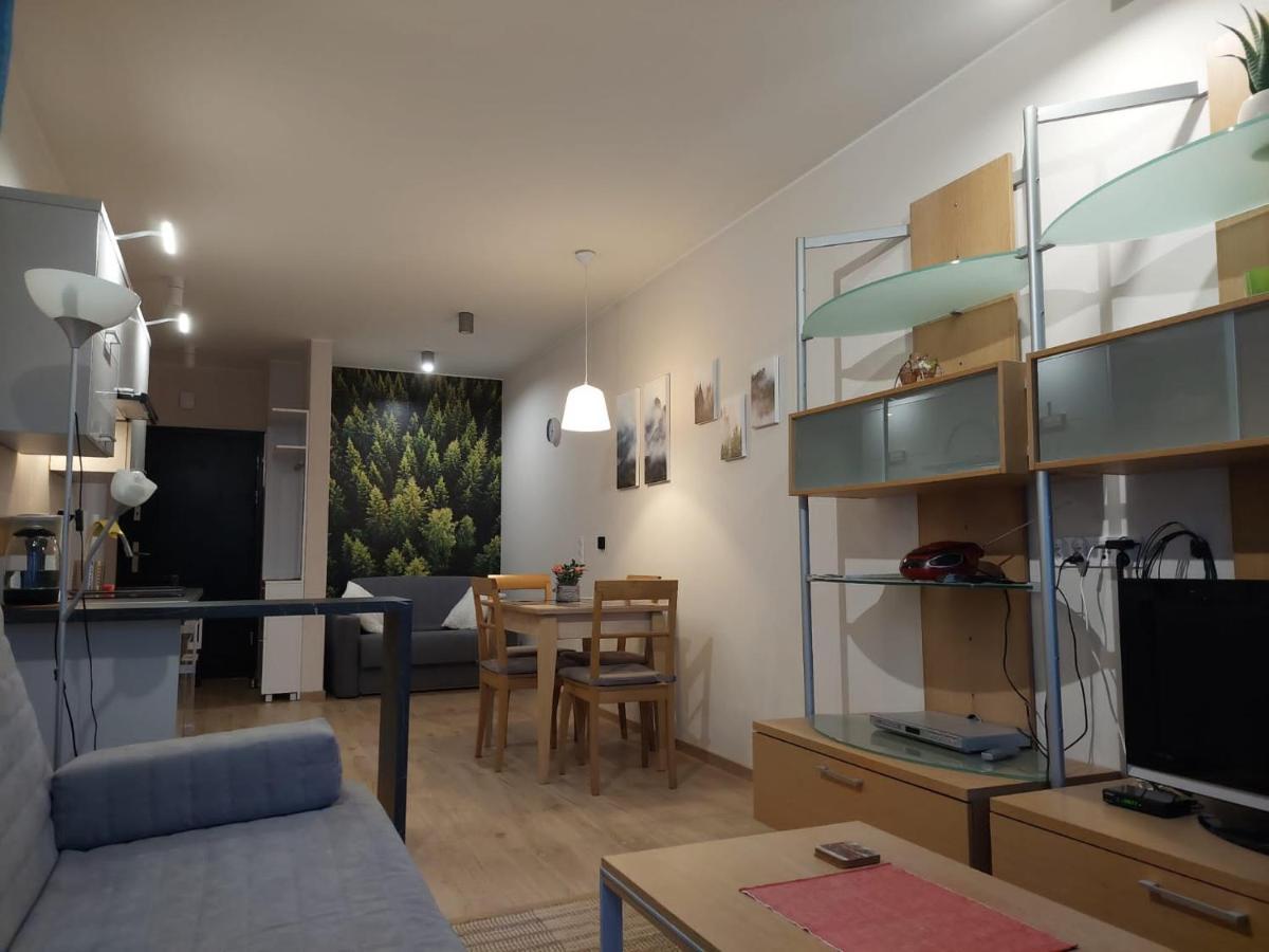 Apartament Pod Gora Szyndzielnia , Debowiec Bielsko-Biala Bagian luar foto